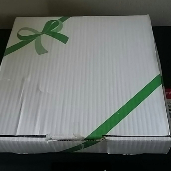 CHRISTINEHOLM PORCELAIN VINTAGE - Picture 8 of 8